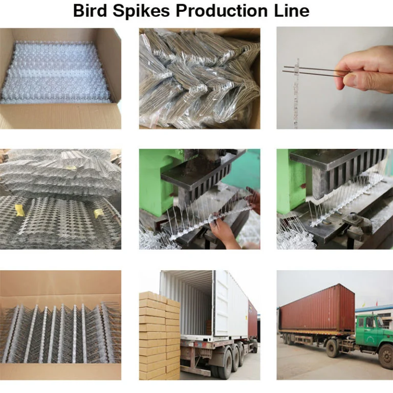 5m Long Plastic Pigeon Control Spikes Anti Bird Spikes